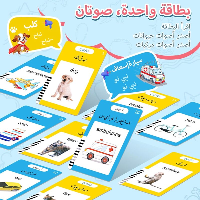 Flash Cards Language Trainer for Young Children