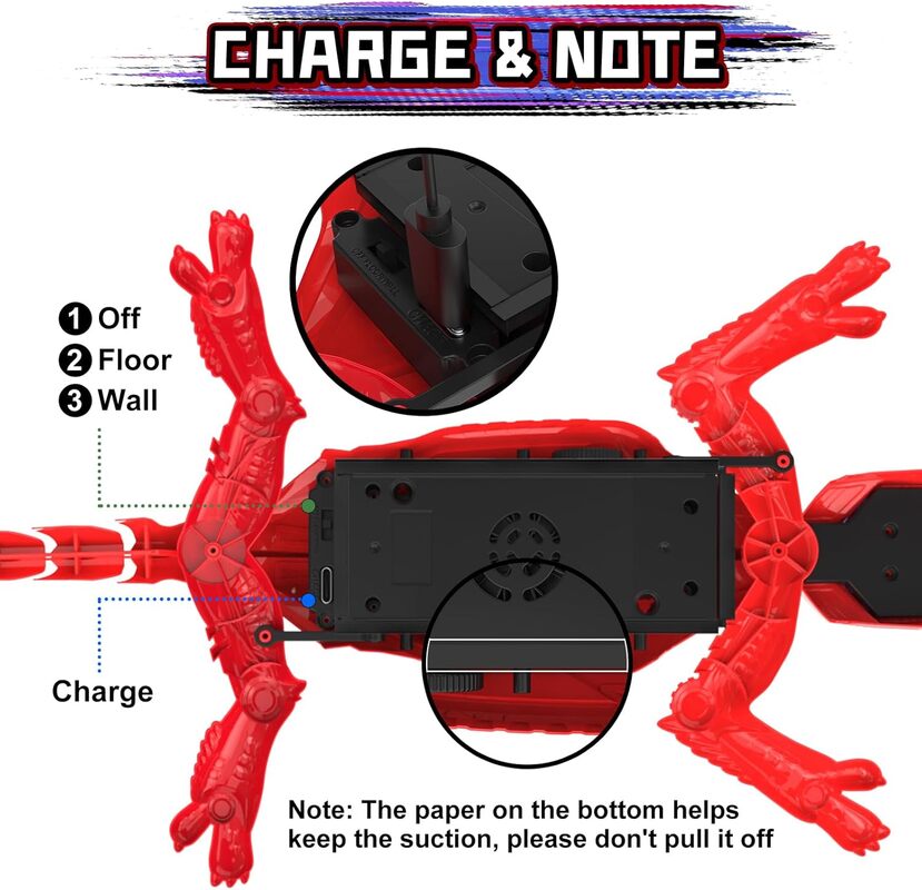 Wall Crawling Lizard